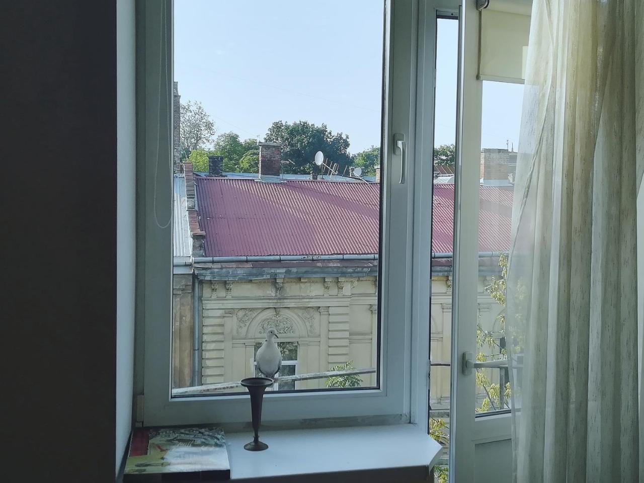 Valentine Apartment Львов Экстерьер фото